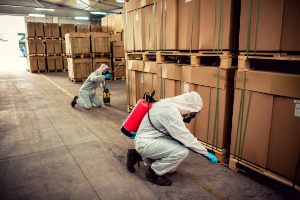 Best Best Pest Control Companies  in Watertown, NY