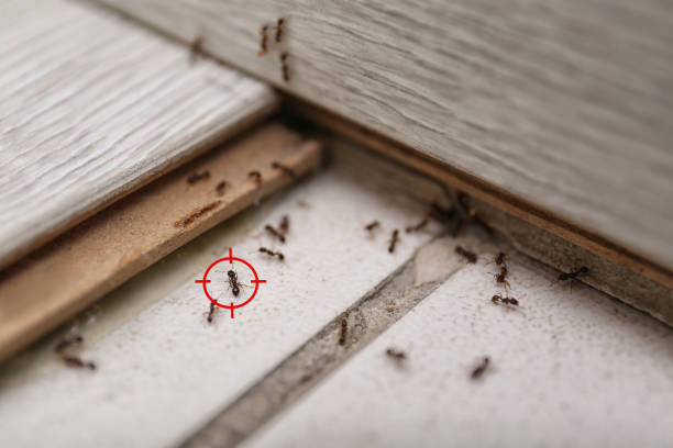 Watertown, NY Pest Control Company
