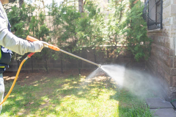 Best Affordable Pest Control Services  in Watertown, NY