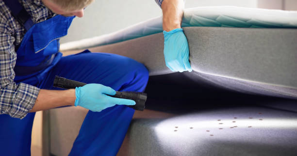 Best Rat Extermination Near Me  in Watertown, NY