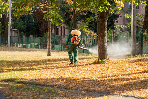 Best Local Pest Control Services  in Watertown, NY