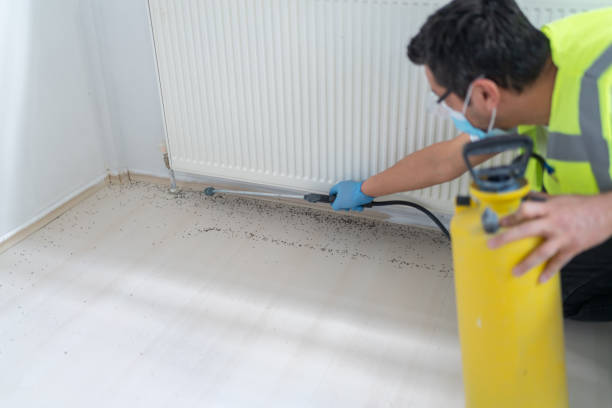 Best Bed Bug Extermination  in Watertown, NY