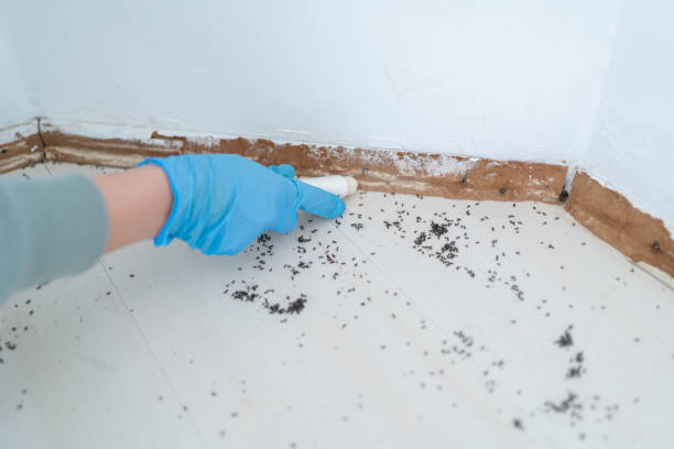 Best Best Pest Control Companies  in Watertown, NY